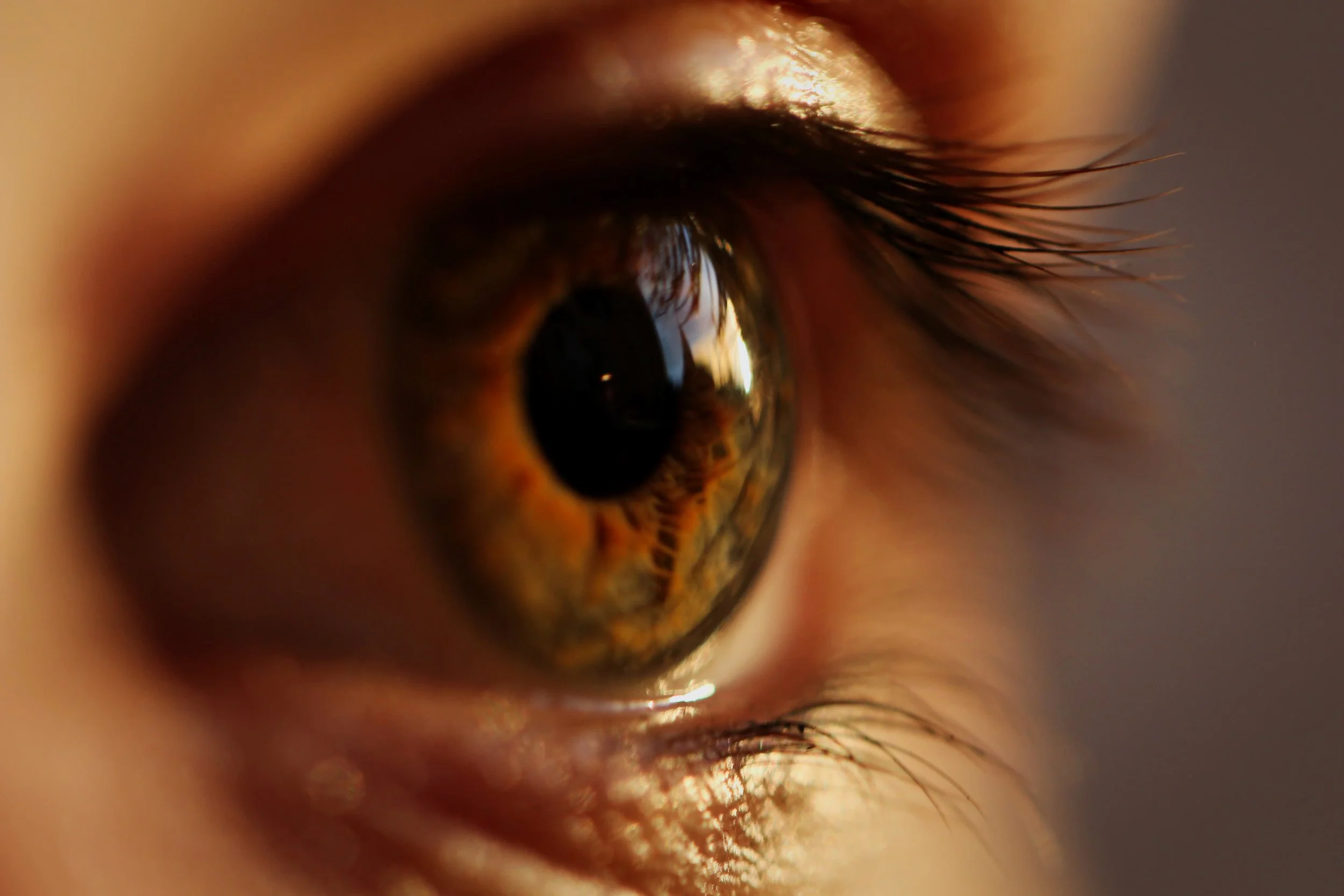 Featured image for article: Beginners Guide To Practicing Visualization by Jeremiah Krakowski